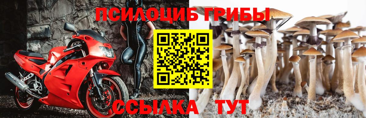 Галлюциногенные грибы MAGIC MUSHROOMS Киров